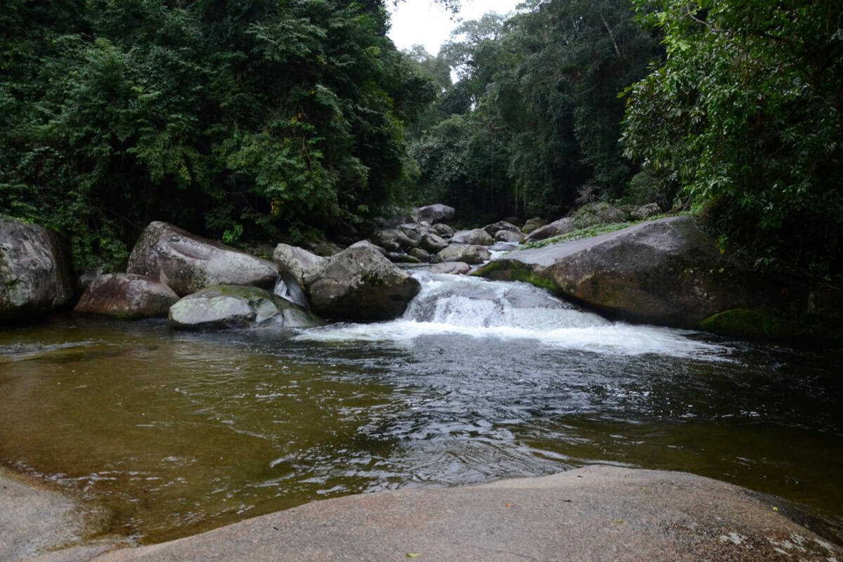 Poço da Jamaica em Paraty com águas transparentes entre pedras e vegetação densa